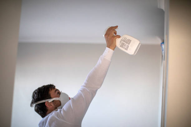 Best Mold Removal Near Me  in Tladega, AL
