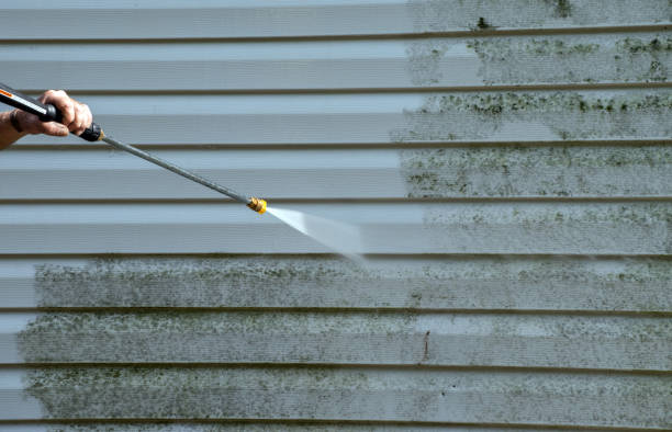 Mold Removal and Inspection in Talladega, AL