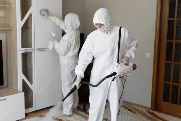 Mold Testing and Removal in Talladega, AL