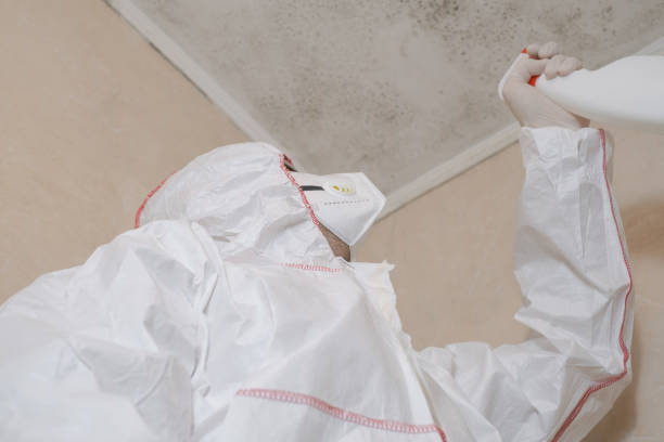 Best Black Mold Removal  in Tladega, AL