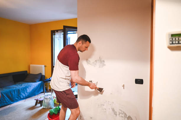 Best Professional Mold Removal  in Tladega, AL